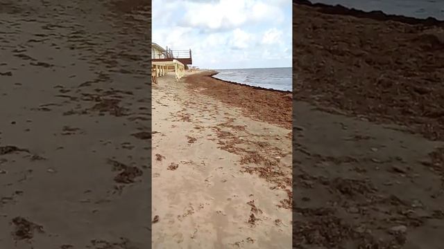 Пляж санатория "Морской" в Заозерном, Евпатория. смотреть онлайн