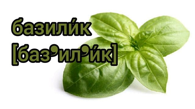 Как произносится базилик по-русски