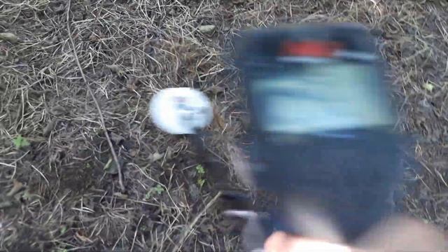 Minelab Gold Monster 1000