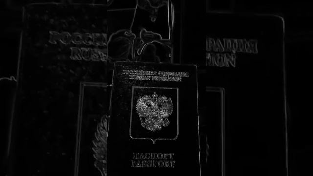 Помощь для получения загранпаспорта смотреть онлайн