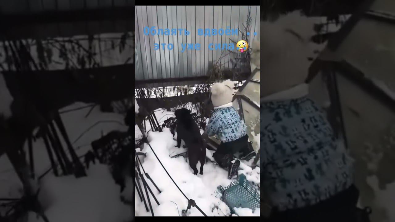 Два лютых охранника ))) смотреть онлайн