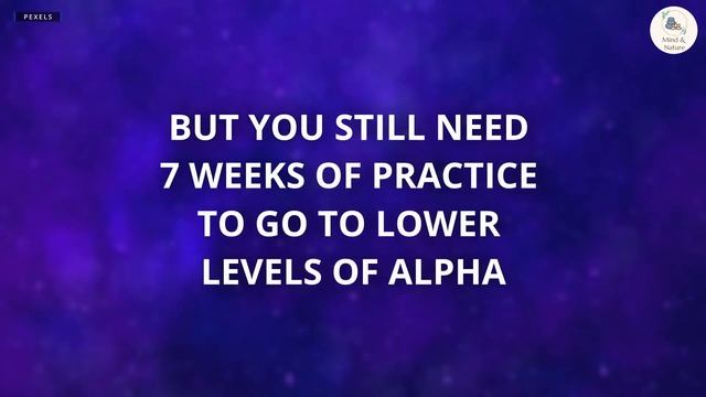 Learn how to enter the Alpha level of mind | Step by step process | Jose Silva | The Silva Method смотреть онлайн