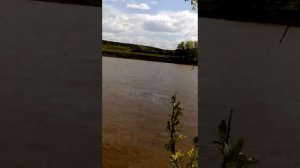 Как правильно закидывать донку на реке Оке!!
