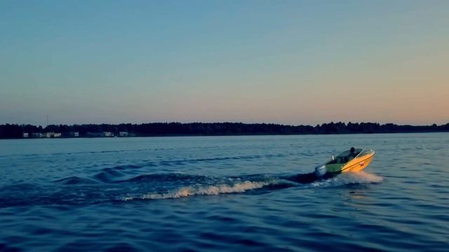 Viking 420 C мотором Honda BF50