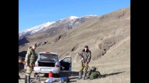 Охота на Дагестанского тура