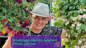 Фуксия. Огромные кашпо с фуксией. Обзор наших сортов Фуксии.