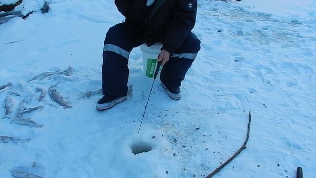 Рыбалка в Приморье. Первый лёд. Река Журавлёвка. 20 - 30.11.2016 г. (с 2018 г.) смотреть онлайн