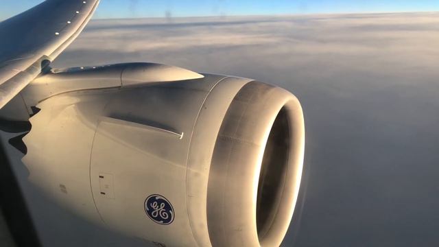 Curaçao - Amsterdam TUI Airlines Boeing 787-8 Dreamliner in Deluxe Class (Premium Economy) смотреть онлайн