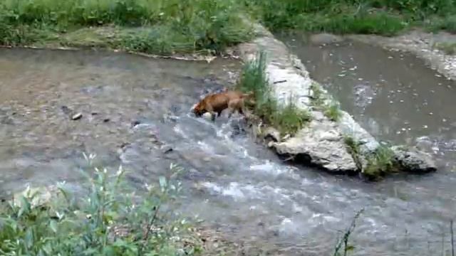 Drink смотреть онлайн