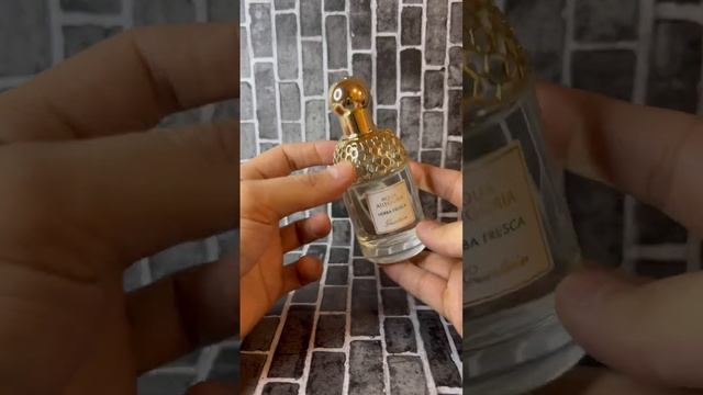 Свежие ароматы на зиму / духи которые не потеряются на холоде / #тестершоп смотреть онлайн