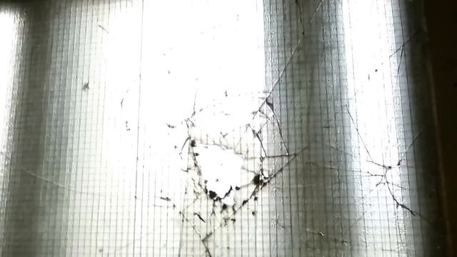 Подъезд, в котором мы живём (г. Минск, ул. Якубова д.30 под.7) смотреть онлайн