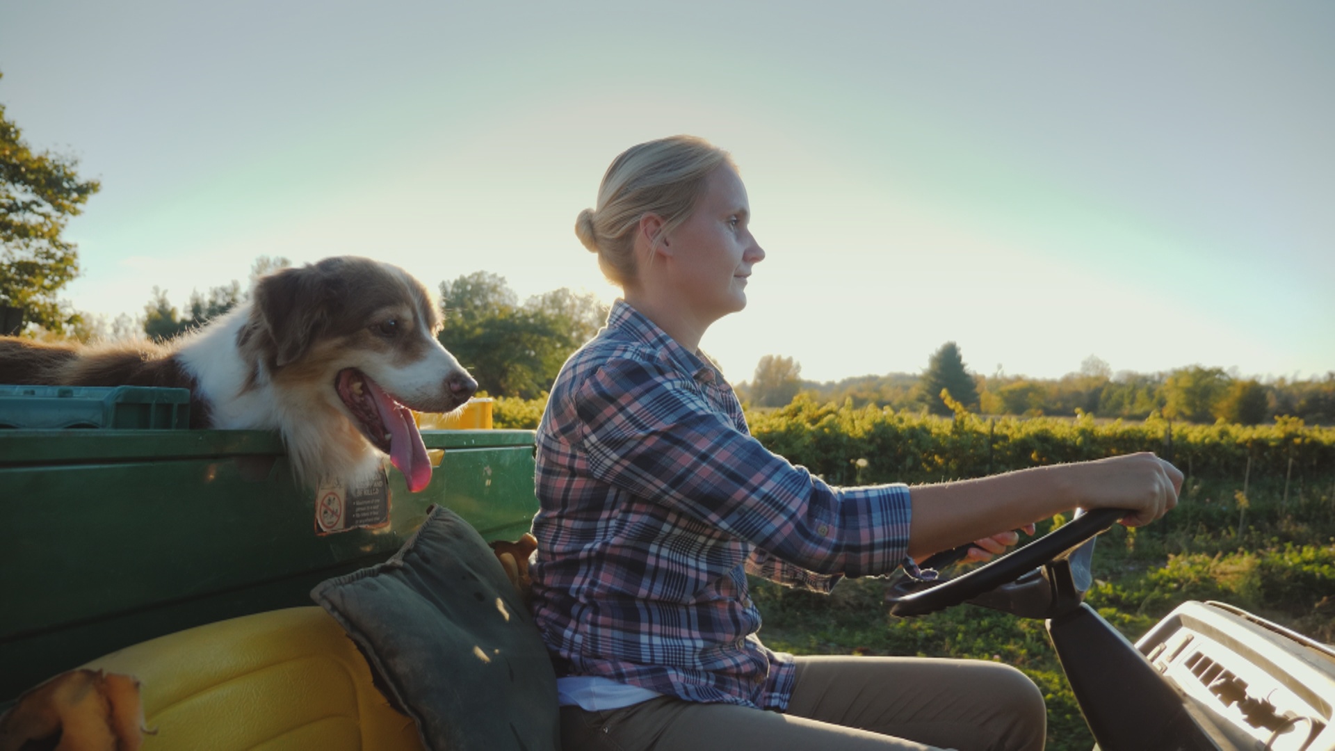 Мы женщины больших городов стали слишком мужчинами