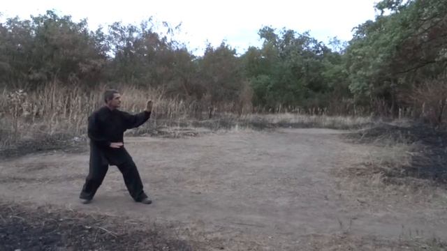 синъи цюань, шиэрсин . xingyi quan, shier xing 形 意 拳，十二 形 смотреть онлайн