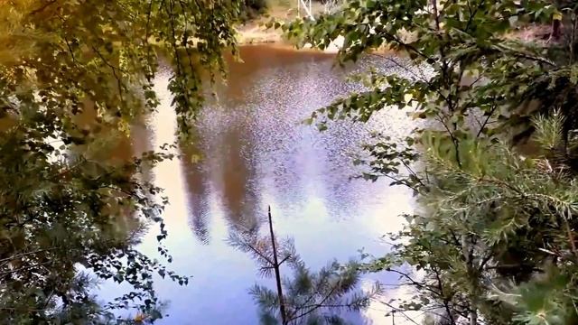 Музыка исцеления. Angeliht Сеанс 1 смотреть онлайн