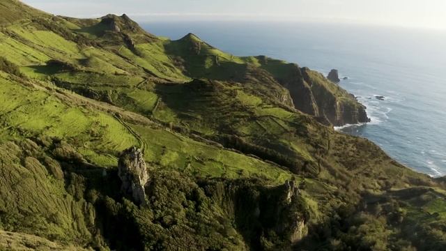 Музыка чтобы успокоить разум, перестать думать. Музыка для сна, души и тела смотреть онлайн