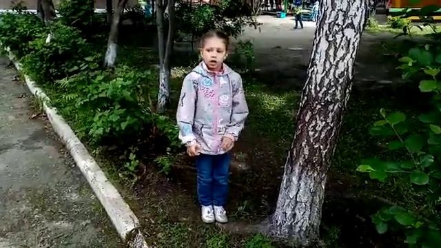 Стихотворение "Не Руби берёзы! " автор В.Ф. Боков смотреть онлайн