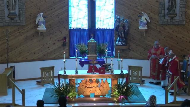 Holy Cross Catholic Church Live Stream смотреть онлайн