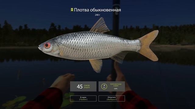 РУССКАЯ РЫБАЛКА 4 • ТОП ФАРМ КОМАРИНОГО • НАЧАЛО! смотреть онлайн