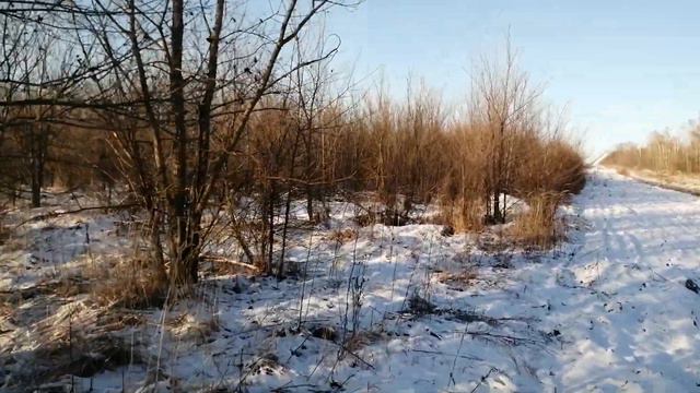 Цифровой рубль. Какую свинью готовят чиновники? смотреть онлайн