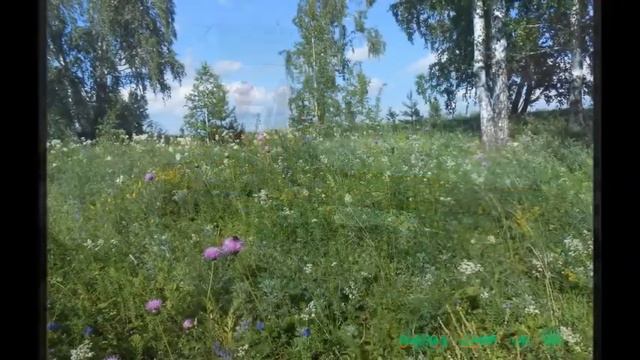 Один день там, где всегда было лето смотреть онлайн