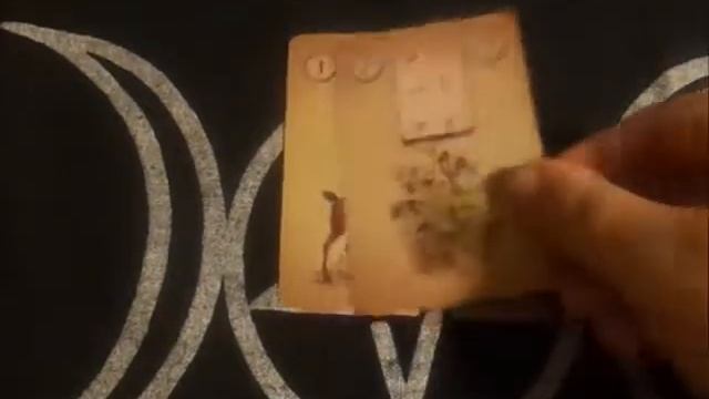 Under Cover Tarot: Lenormand Oracle Cards смотреть онлайн
