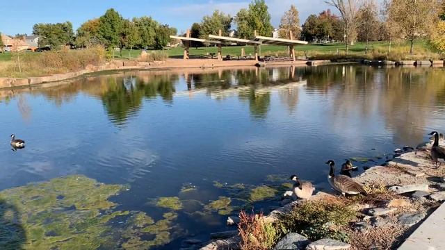 Осенняя пора…..приятна мне твоя прощальная краса. ?☀️