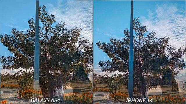Samsung Galaxy A54 vs iPhone 14 Camera Test