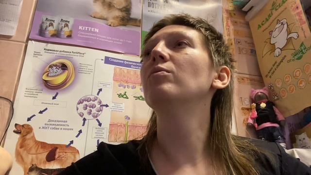 Обзор на корм Петдаетс Petdiets смотреть онлайн