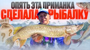 ВЕЧЕРНЯЯ РЫБАЛКА НА ОКЕ! ОПЯТЬ ЭТА ПРИМАНКА СДЕЛАЛА РЫБАЛКУ!