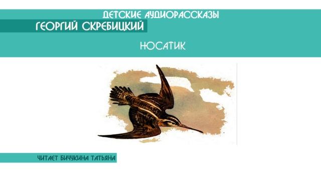 Георгий Скребицкий "Носатик" - детский аудиорассказ: слушать онлайн смотреть онлайн