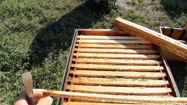 Подготовка к зимовке. Шаг второй , ставим перегородки.