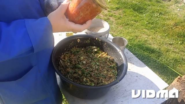 Чем кормлю своих курёшек во время линьки. смотреть онлайн