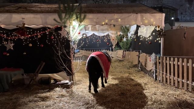 Historische Weihnacht in Berlin Friedrichshain смотреть онлайн