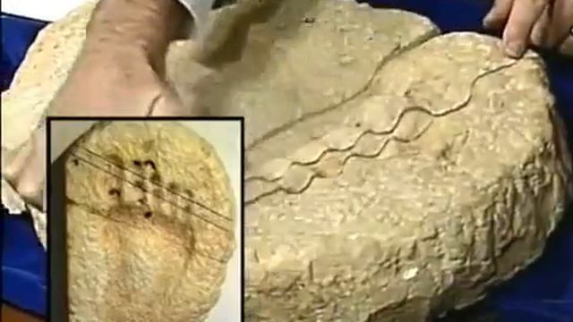 1. Симфония на сътворението. Функционира ли еволюцията смотреть онлайн