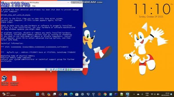 @Goodbye_after_26_days Has BSOD/BSOD VM #2 (Windows XP X86 VM)