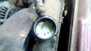 Пузырит в радиатор(((