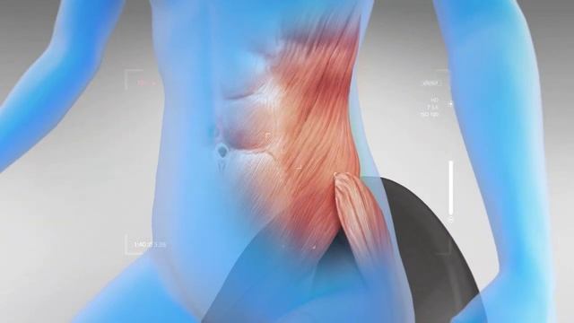 TANDA TVR 3D смотреть онлайн