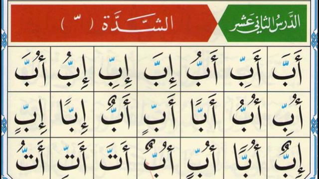 Qaida Nooraniyah Lesson 12 Shaddah | Learn To Read The Quran | Nuraniyah | Shadda In Quran | Koran