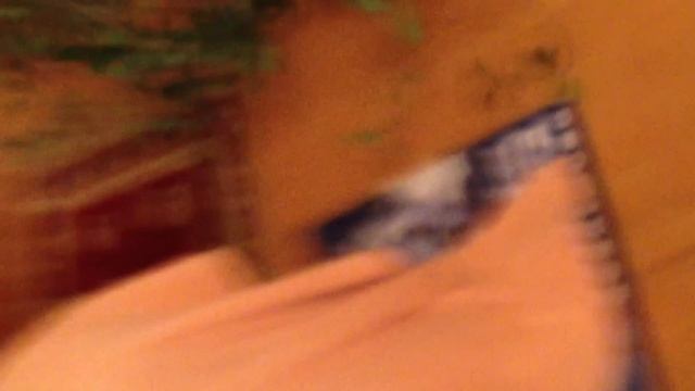 Залетела летучая мышь смотреть онлайн