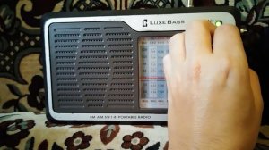 Как отличить псевдоаналоговый dsp радиоприёмник от чисто аналогового