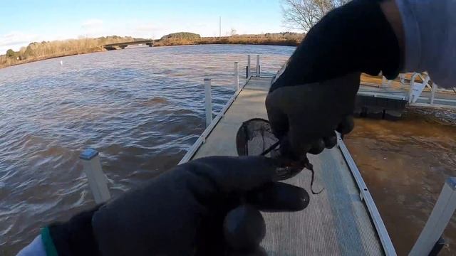 Magnet Fishing Gone Wrong (Kicked Out) смотреть онлайн