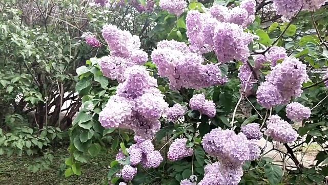 Ремонтные Мастерские