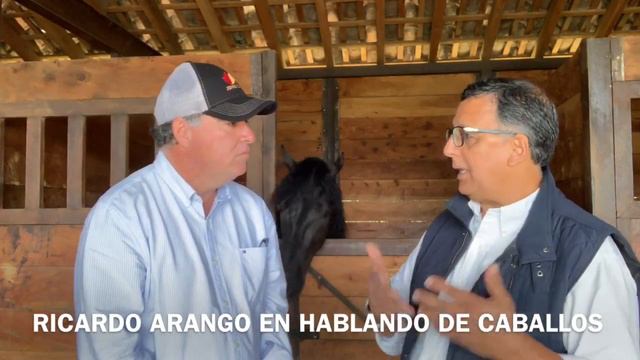 Gran Subasta Equina, Feria Nacional De Colombia смотреть онлайн