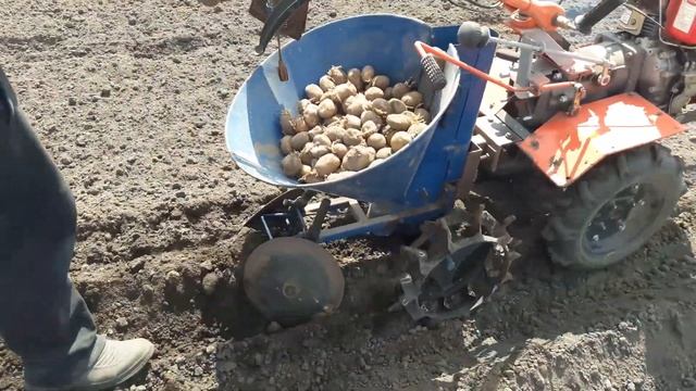 Мотоблок Зубр 105 КПП WEIMA посадка картоплі. смотреть онлайн