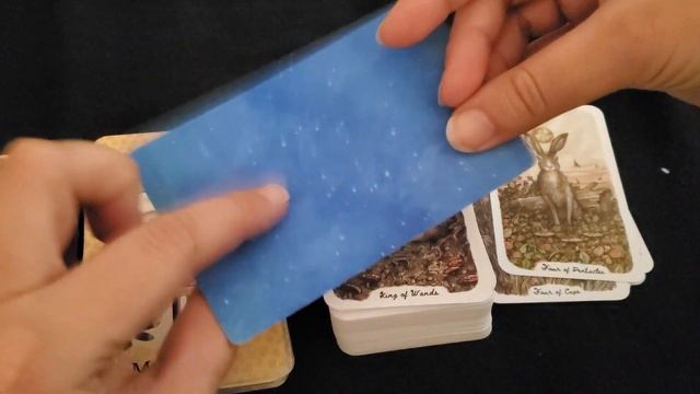 Pairings for Coastal Curiosities! смотреть онлайн