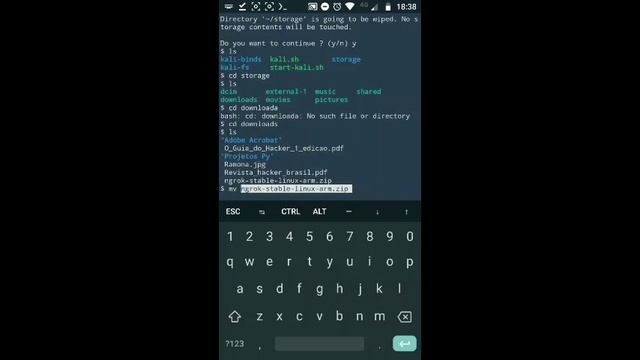 Termux - Como Baixar e Instalar o Ngrok 2021