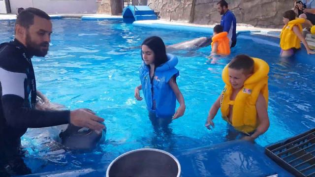 Грузинские каникулы : Купание с дельфинами. смотреть онлайн