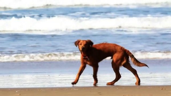 Что такое время?