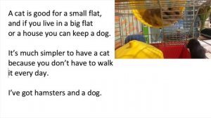 Topic My pet. Сочинение о домашнем питомце на английском. Уроки английского языка.