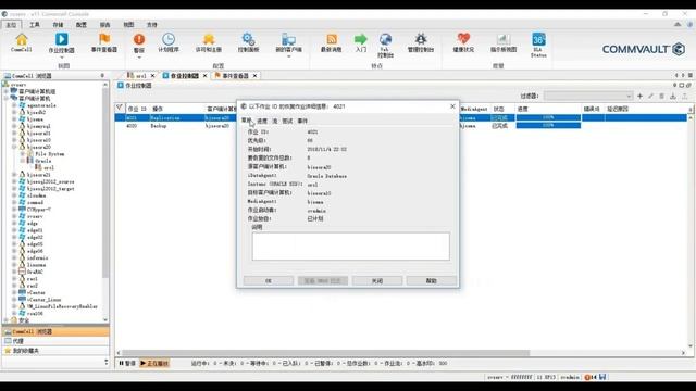 Commvault 05-Oracle Live Sync CommCell Console SP13 смотреть онлайн